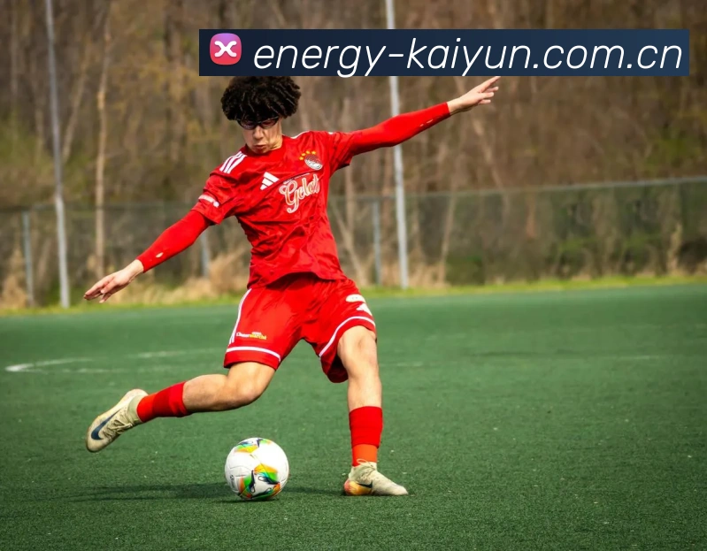 开云平台生态图